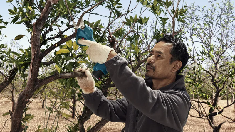 Pro Pruner Professional Cordless Garden Shears
